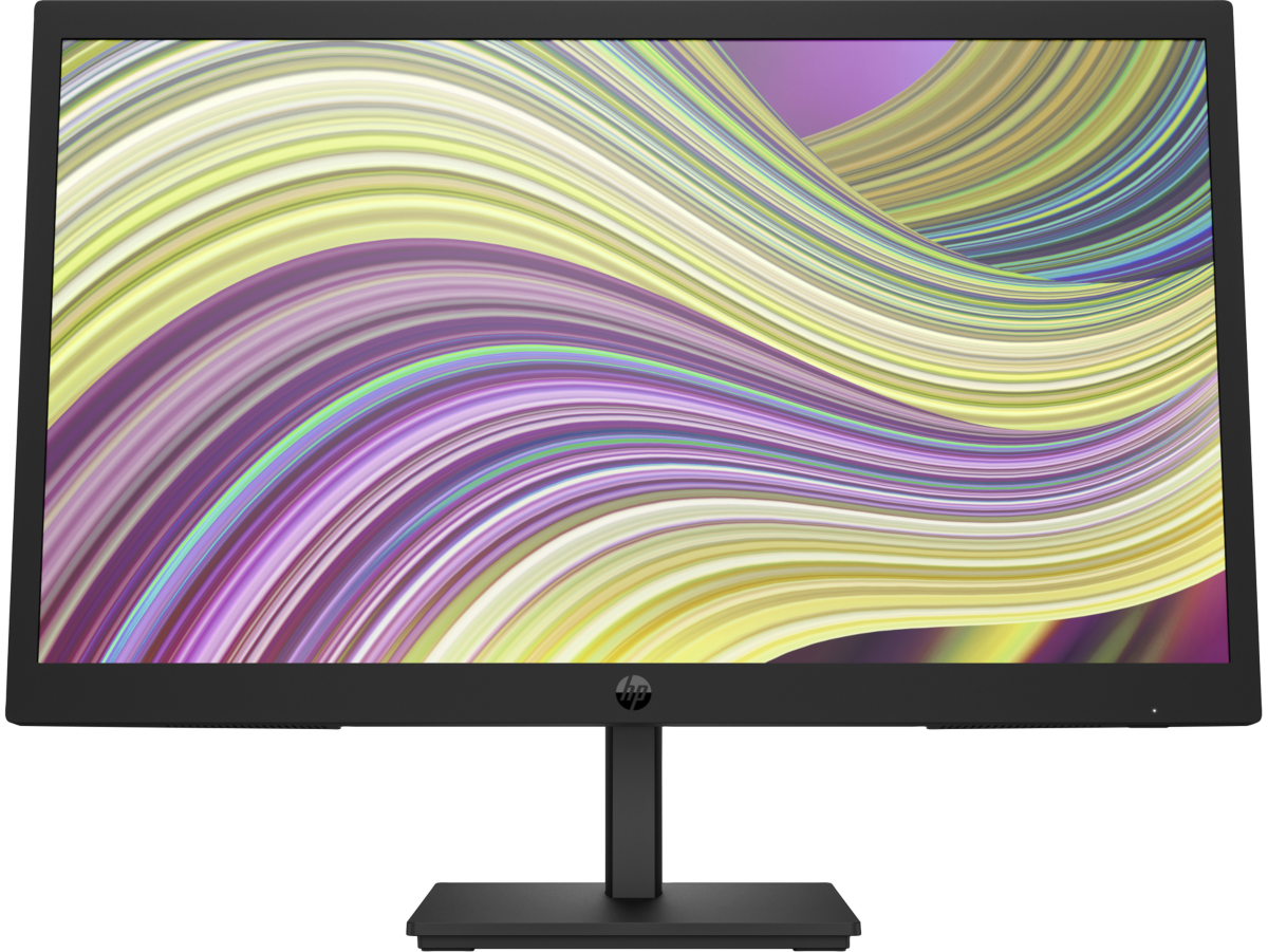 Imagen de Monitor FHD HP Value P22v G5