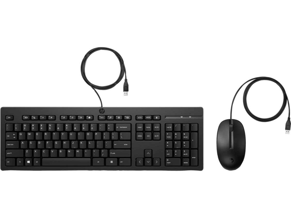 Imagen de Combinación Mouse y Teclado con cable HP 225